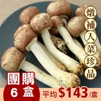 在飛比找台灣好農優惠-草屯有機巴西蘑菇6盒-全素