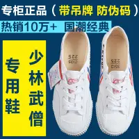在飛比找蝦皮購物優惠-上海 飛躍 大 博文 運動鞋 武術鞋 練功鞋 男 比賽 武術