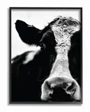 Stupell Cow Black And White Close Up by Lettered and Lined Framed Art