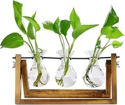 laffeya Desktop Glass Planter, Plant Propagation Station, Glass and Wood Plant Holder for Hydroponics Plants Office Hotel Garden Home Decor (3 Hyacinth Vases, Brown)