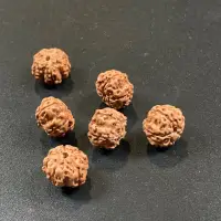 在飛比找蝦皮購物優惠-玩石頭♥️ 天然 金剛菩提 菩提子 菩提手珠 散珠 隔珠 手