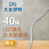 在飛比找momo購物網優惠-【大友照明】LED 調光防水軟條燈40W(5M 軟條燈)