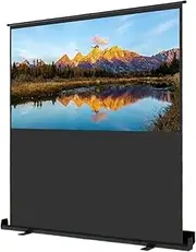 Projection Screens Portable Pull Up Projection with Stand Projector Screen 16:9 4:3 Screen for Home Cinema Outdoor Camping Screen(110inch (16-9))