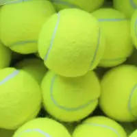 在飛比找Yahoo!奇摩拍賣優惠-硬式網球 練習網球 台灣製 (空白)/一個入(定40) 硬式