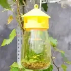 Fruit fly trap Killer Yellow Plastic Drosophila Trap Anti Fly Fruit Reusable