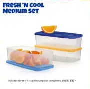 Tupperware Fresh n Cool Rectangular Refrigerator Storage Container Set of 3 New