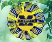 10" Michigan Wolverines U of M Hanging Wind Spinner Yard Decor Kinetic rws116