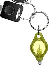 Keychain - UV Light Keychain - Portable Detector Mini Popular Lighting Lamp for Child Schoolbag Backpack Home Detections
