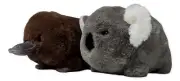 KIRA KOALA & PONGO PLATYPUS Spudsters 10" Stuffed Animal Plush, by Aurora