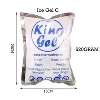 在飛比找蝦皮購物優惠-Ice GEL 520 GR/冰凝膠包冰凝膠冷卻