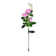 Solar LED Garden Decor White Pink Lights