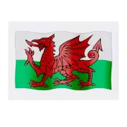 'Welsh Flag' Temporary Tattoos / Transfers (TO00046518)