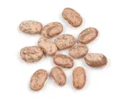 Pinto Beans, 10 Pound Box