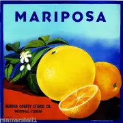 Weirsdale Florida Mariposa Orange Citrus Fruit Crate Box Label Art Print