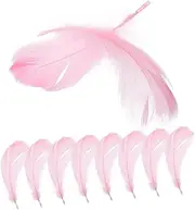 WOFASHPURET 15pcs Plume Props Small Jewelry Display Plumes Decorative Decorations for Cosmetics Vanity Table Unique Photo Prop