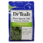 Dr Teal's Pure Epsom Salt Relax & Relief - Eucalyptus & Spearmint 1.36kg