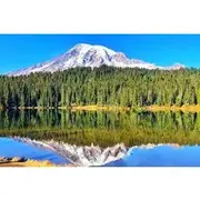 Save 15.00%! Mount Rainier National Park Day Tour from Seattle