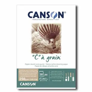 3本贈品 法國製 CANSON C”àgrain Ca 250g 30張 康頌 粉彩紙 斑駁黃 斑駁灰 鉛筆 粉彩 炭筆