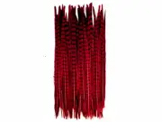 10 Pieces -18-22" Red Wine Dyed Over Natural Long Ringneck Pheasant Tail Feather