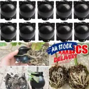 Reusable Garden Plant Root Growing Box Plants Propagation Cutting Rooting Device