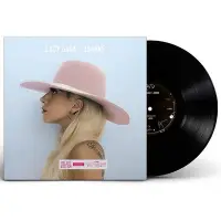 在飛比找Yahoo!奇摩拍賣優惠-（二手）-正版現貨 Lady Gaga Joanne 2LP