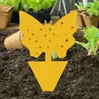 40Pcs Insect Traps Protect The Plant Double Sided Gnat Traps Gnat Sticky Traps