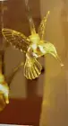 Solar Hummingbird String Lights, 21Ft 30 Warm White LED Outdoor Waterproof Light