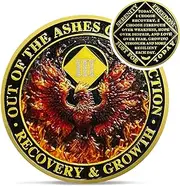 Delicate Phoenix 3 Year Na Medallions - Reborn from Fire Sobriety Coin - Three Year Recovery Addiction Token - Celebrate Clean and Sober Chip - 1-10 Prime Narcotics Anonymous Gifts for Men Women