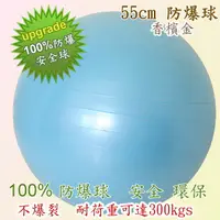 在飛比找蝦皮購物優惠-正港ㄟ100%防爆球 55CM~生產球 抗力球 瑜珈球 兒童