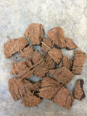 Coconut shell chips natural Eco Friendly for Anthuriums and orchids