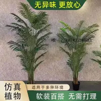 在飛比找Yahoo!奇摩拍賣優惠-仿真綠植仿真綠植散尾葵旅人蕉美人蕉龜背樹室內仿真樹落地假樹假