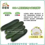 【綠藝家】G62-1.夏福胡瓜(大黃瓜)種子6顆