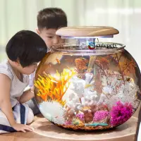 在飛比找蝦皮購物優惠-【萌寵】魚缸客廳大型圓球形中型桌面LED燈金魚缸生態造景水族