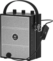 Portable Pa Sytem with Wireless Microphone 40W, Bluetooth Speaker and Microphone