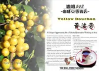 在飛比找Yahoo!奇摩拍賣優惠-巴西 卓越盃 COE 冠軍-黃波旁 每磅350  日曬 精品