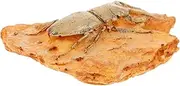 HEATSHAKING Paleontological Insect Specimen Decoration for Science Teaching and Collecting Lightweight and Portable Insect Ornament for Educational Use and Home