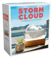 STORM CLOUD Fun Cloud-Shaped Barometer - Changes With The Weather