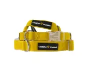 Winston Manner Designer Dog Collar in Golden Yellow