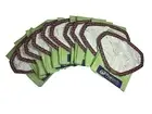 ProTeam 10 QT #107313 Intercept Micro Filter Vacuum Bags- 10 Pack