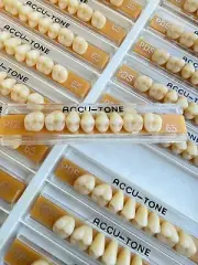 Acrylic Resin False Teeth Accutone Posterior Upper A3/65-PDS dentures box 160pcs