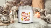Money Magnet Vibes Candle Manifestation