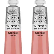 2x Winsor & Newton 200ml Winton Oil Colour Paint Artist/Painting Flesh Tint
