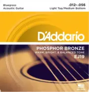 D'Addario Phosphor Bronze, BLUEGRASS, 12-56 Acoustic Guitar Strings - EJ19