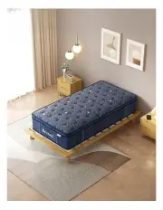 [DreamZ] Double Spring Mattress Bed 30cm in Blue
