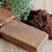 COCO PEAT COCONUT COIR COMPOST SOIL HYDROPONIC ORGANIC GROWING MEDIA 100g