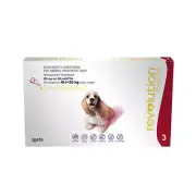 Revolution Dog Medium Red