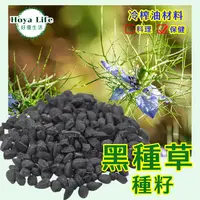 在飛比找樂天市場購物網優惠-【種籽材料】黑種草籽/黑孜然香料/Nigella 500g 