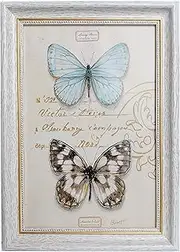FRAMEWOLD 8x12 Picture Frames White(Cream Color) .20x30 cm. Front opening 7 3/4x11 1/8 inch. Imitation Wood Grain..Plastic Panel Not Glass.Table Top Display and Wall Mounting.Carton Packaging.