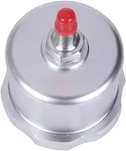 Brake Booster Car Modification Racing Universal Hydraulic Hand Brake Pot Drift Hydraulic Hand Brake Oil Pot Brake Oil Storage Pot Brake Vacuum Pump(Silver)