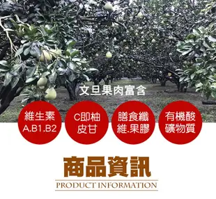 【麻豆農會】文旦蜂蜜柚子茶-300g-罐(1罐組)